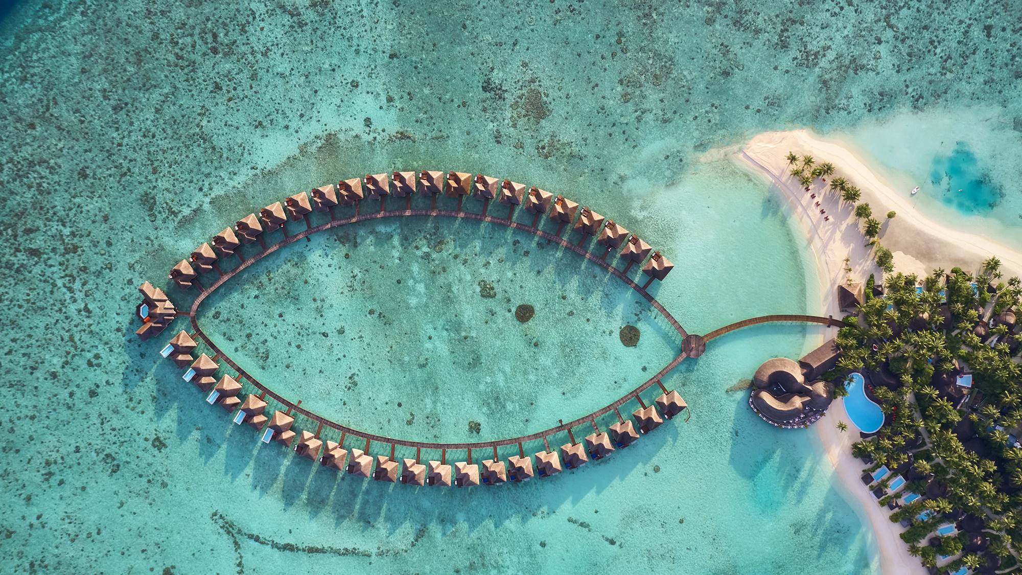 Vilu reef overwater bungalows