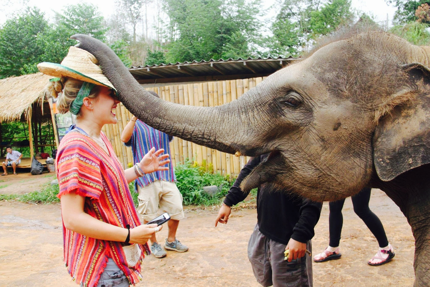Elephant Nature Park a best place to see Elephants in Thailand