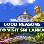 Good Reasons to Visit Sri Lanka