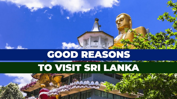 Good Reasons to Visit Sri Lanka