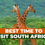 when to travel to South Africa