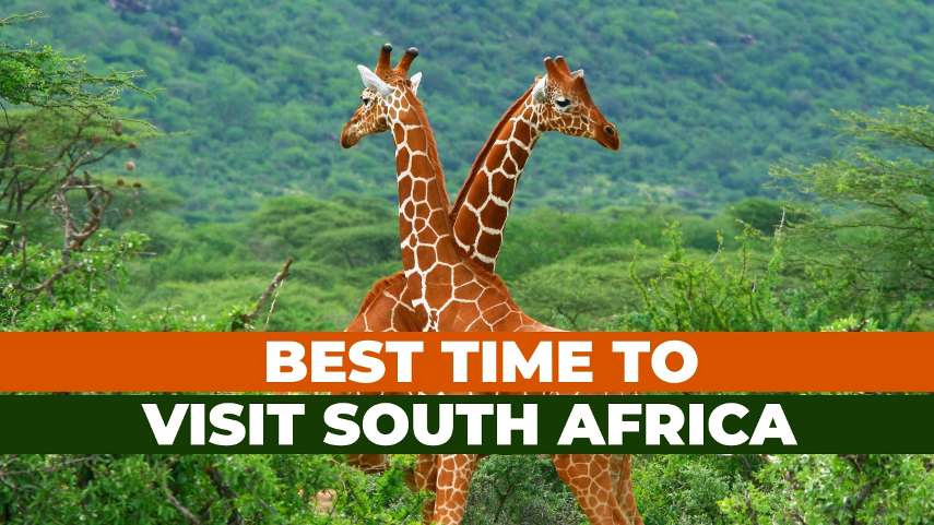 when to travel to South Africa