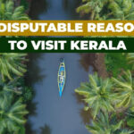 Here's Why You Should Visit Kerala