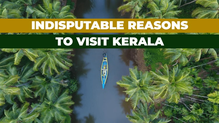 Here's Why You Should Visit Kerala
