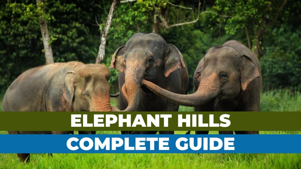 Get Ready to Explore the Best of Elephant Hills