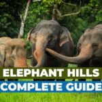 Get Ready to Explore the Best of Elephant Hills