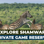 Visit Shamwari Private Game Reserve