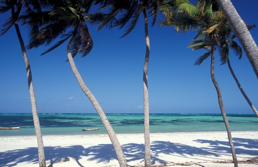 Bwejuu Beach a best beach in Zanzibar