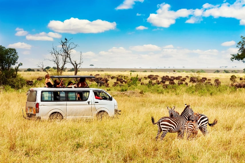 Kenya a best honeymoon destination in august