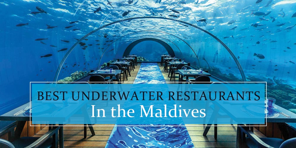 Best Underwater Restaurants in the Maldives