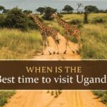 When to visit Uganda