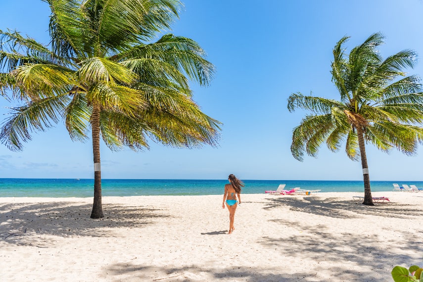 Visit Barbados in November