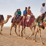 What to do in Dubai