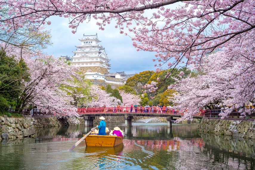What to Do in Japan in March
