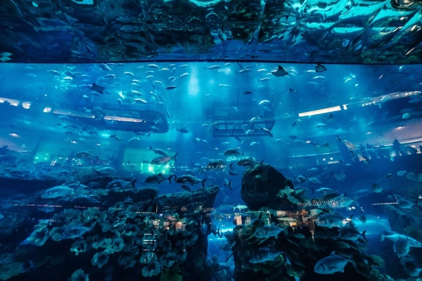 Deep dive dubai