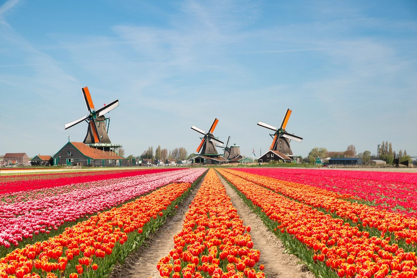 Netherlands a best family destination in Europe
