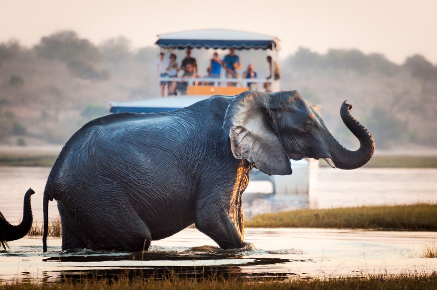 Botswana a best holiday destination in June