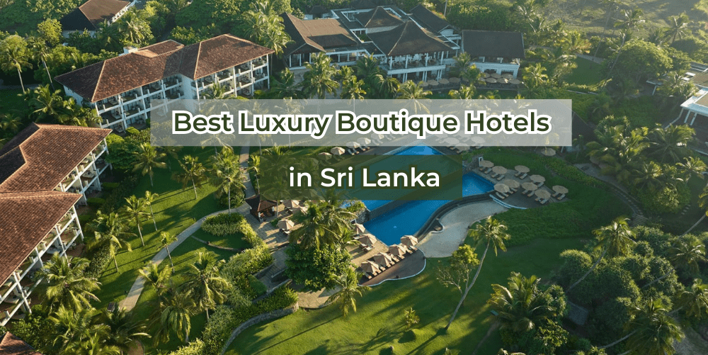 Best luxury boutique hotels in Sri lanka