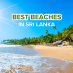 Best beaches in Sri Lanka
