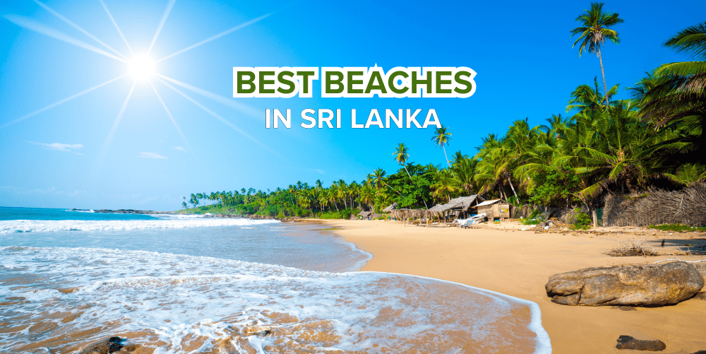 Best beaches in Sri Lanka