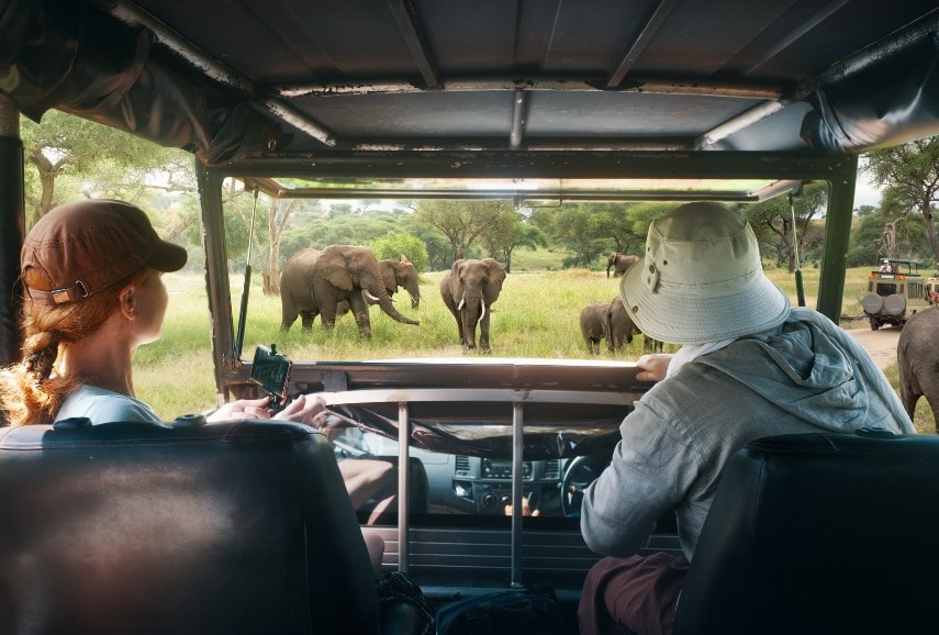 Safaris tour, South Africa