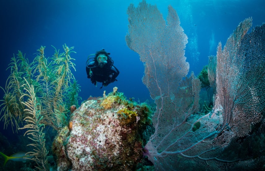 Diver in Bonaire