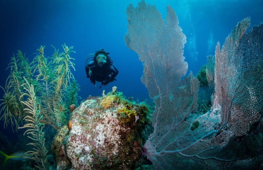 Diver in Bonaire