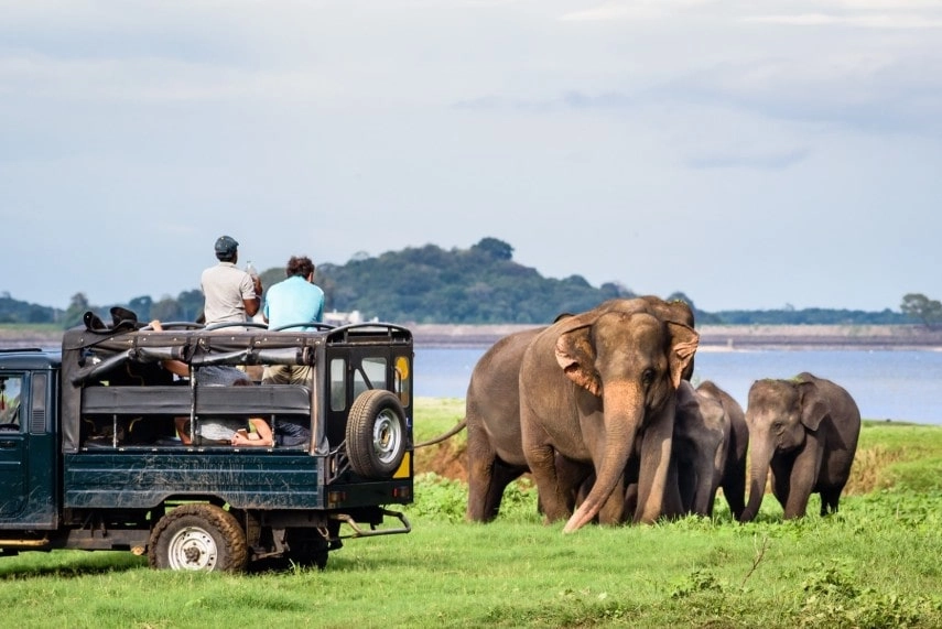 Yala National park wildlife in Sri Lanka in March