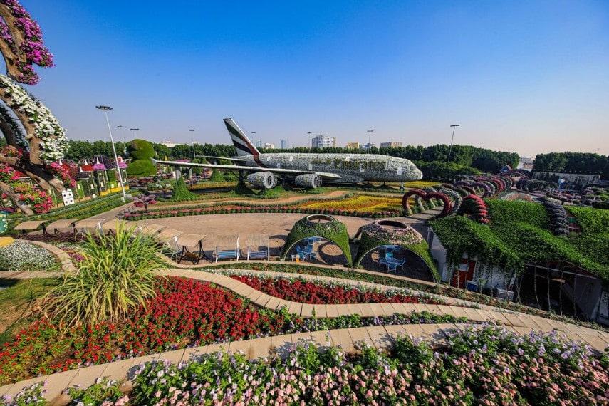 Visit Miracle garden in Dubai