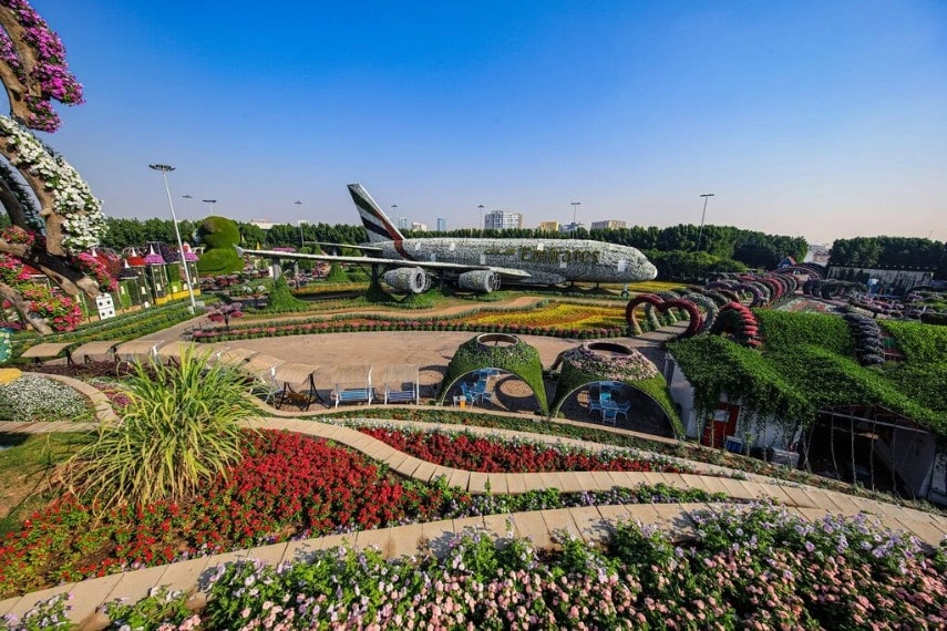 Visit Miracle garden in Dubai