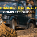 Visit Ranthambore national park
