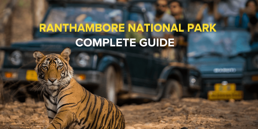 Visit Ranthambore national park