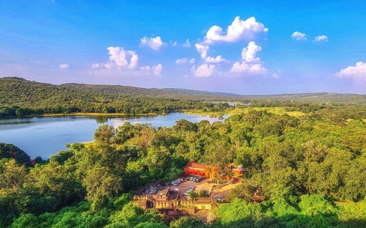 Ranthambore National Park: Complete Guide