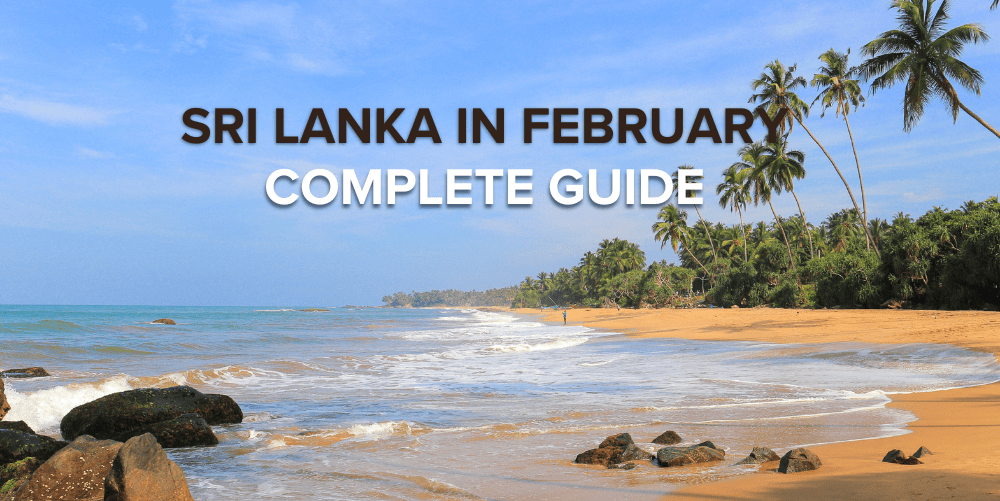 Visit Sri Lanka in February