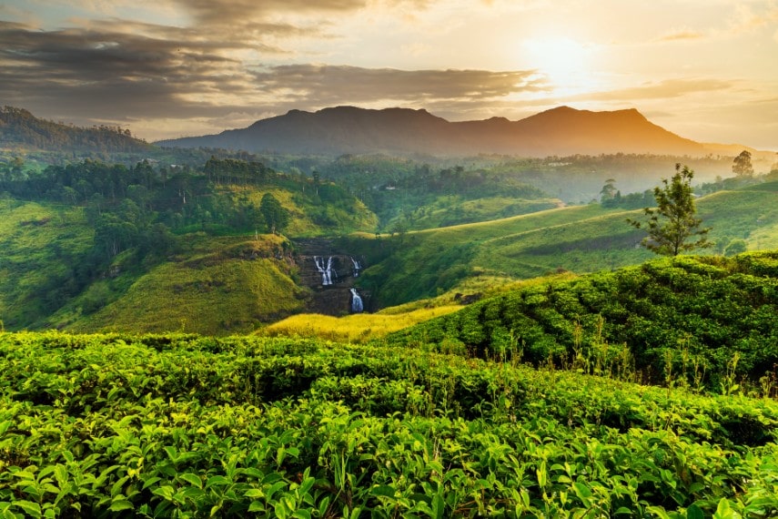 Trip to Sri Lanka in February