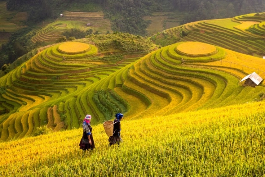 Vietnam weather in August