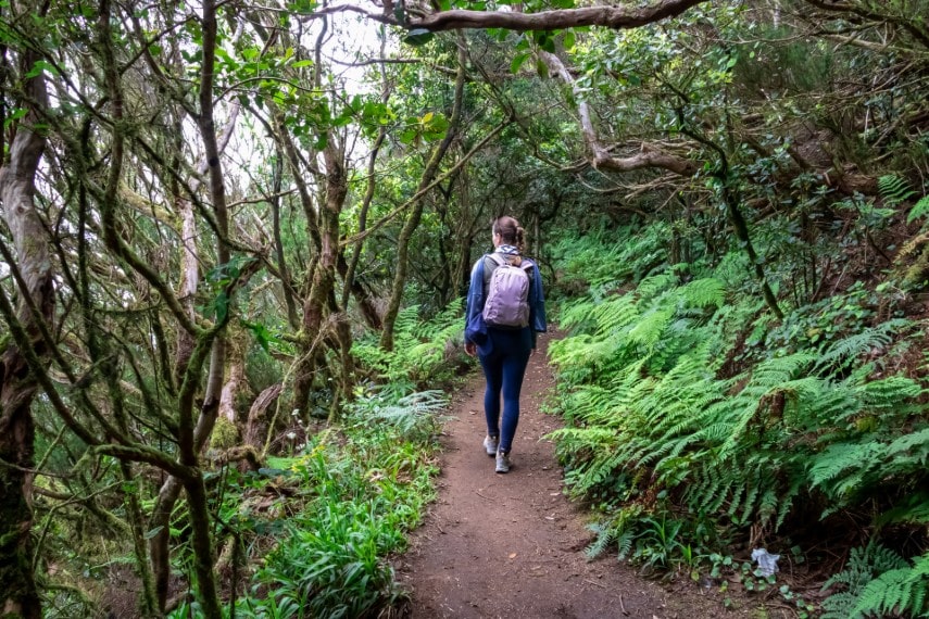 Anaga mountain range on Tenerife in April