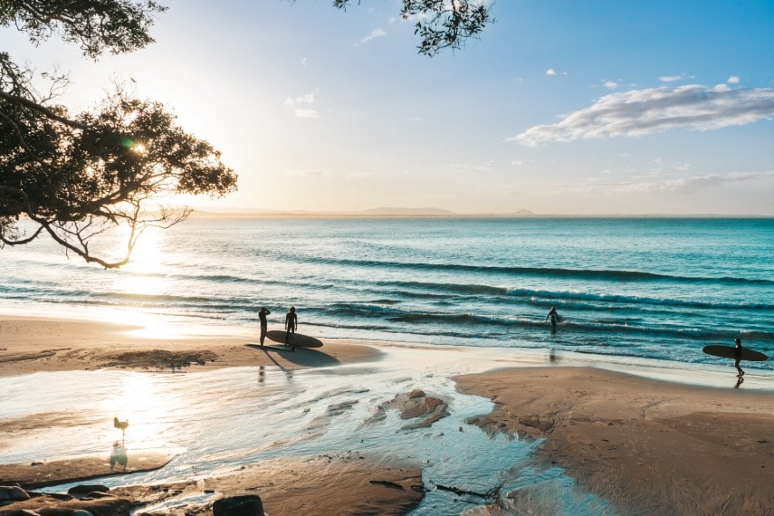 Australia population consists of expatriates 