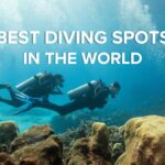 Best diving places in the world