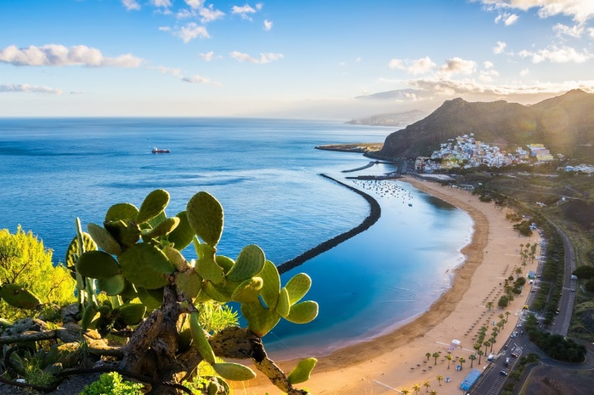 Best time to visit Santa Cruz de Tenerife in January