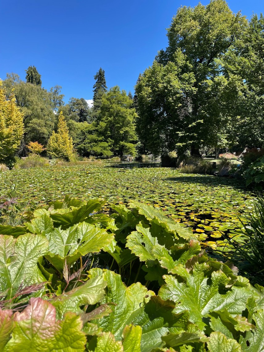 A botanical garden