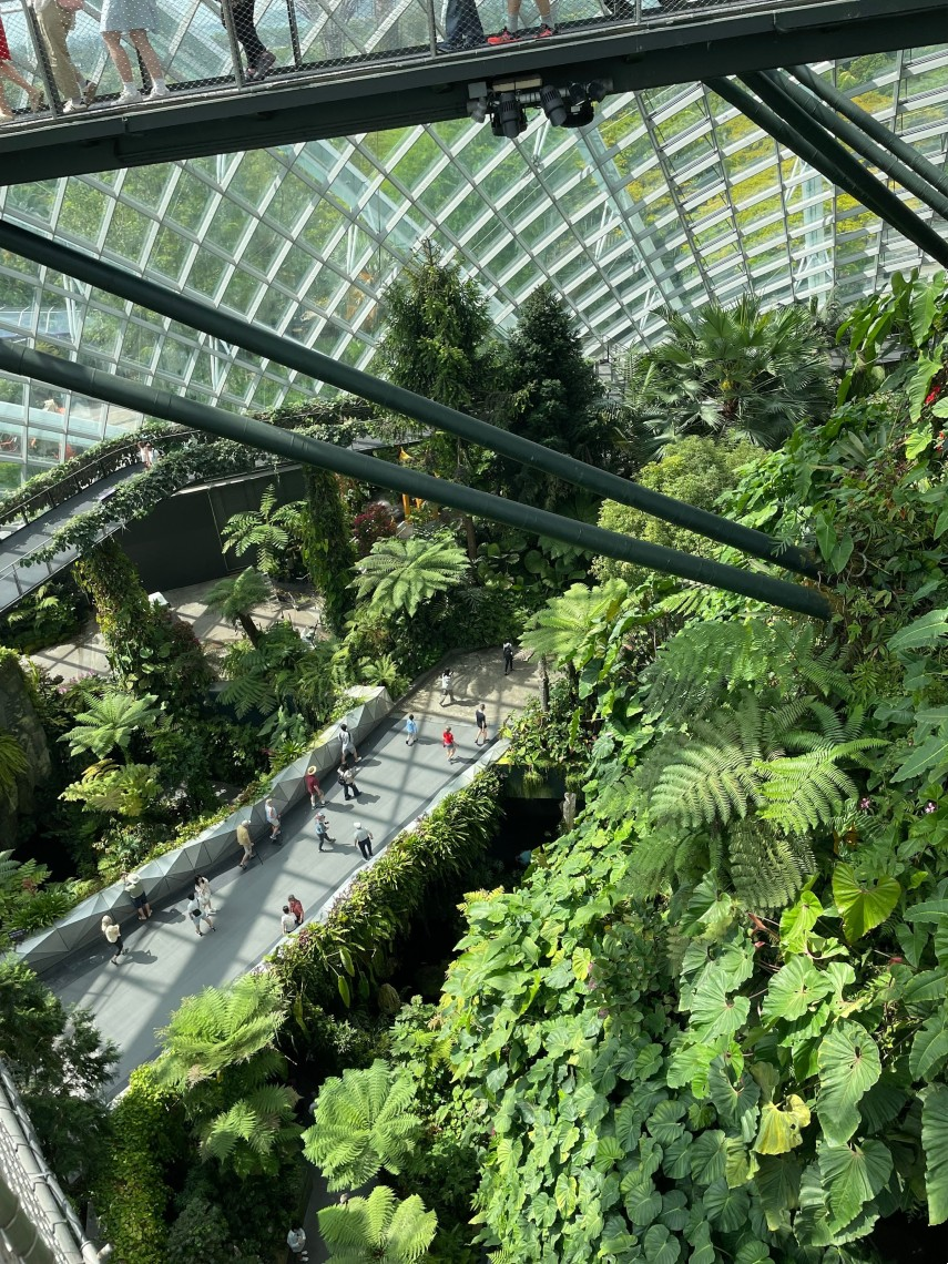 The Cloud Forest in Singapore