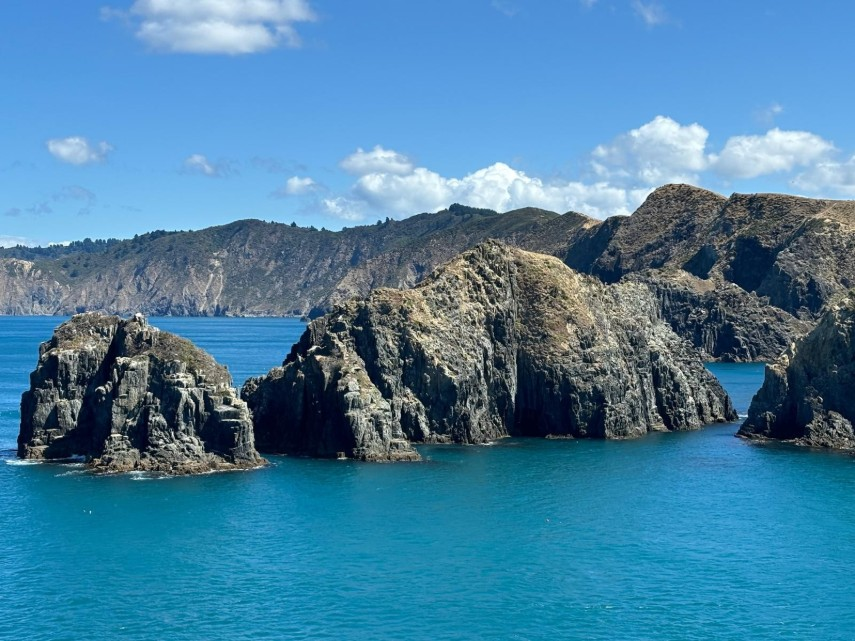 Marlborough Sounds in New Zealand