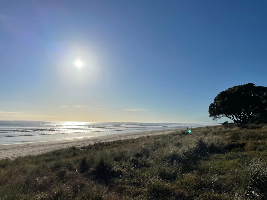 New Zealand beach view