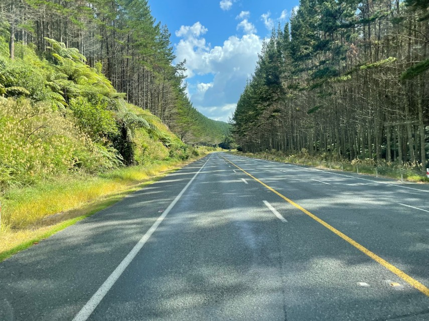Captures a moment on road to New Zealand