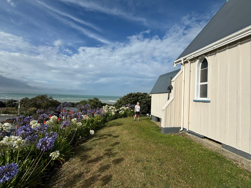 Coastal scene in New Zealand