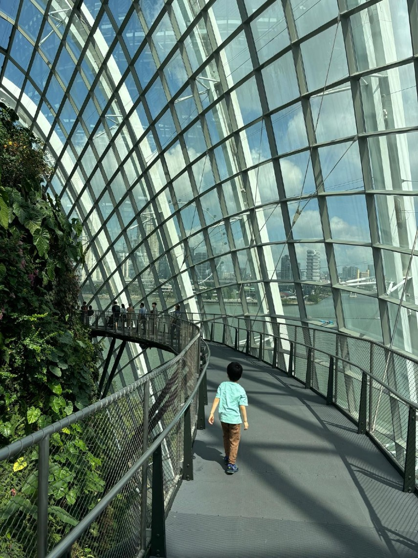 Supertree Skywalk in Singapore