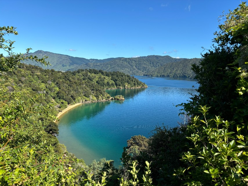 Scenic view along the Queen Charlotte Drive