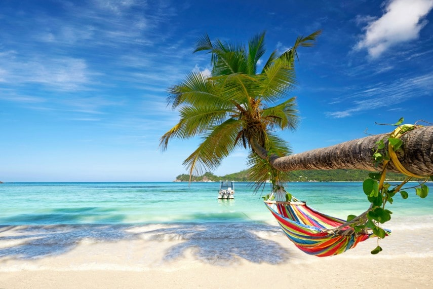 beach scene with a palm tree, a hammock, The Caribbean
