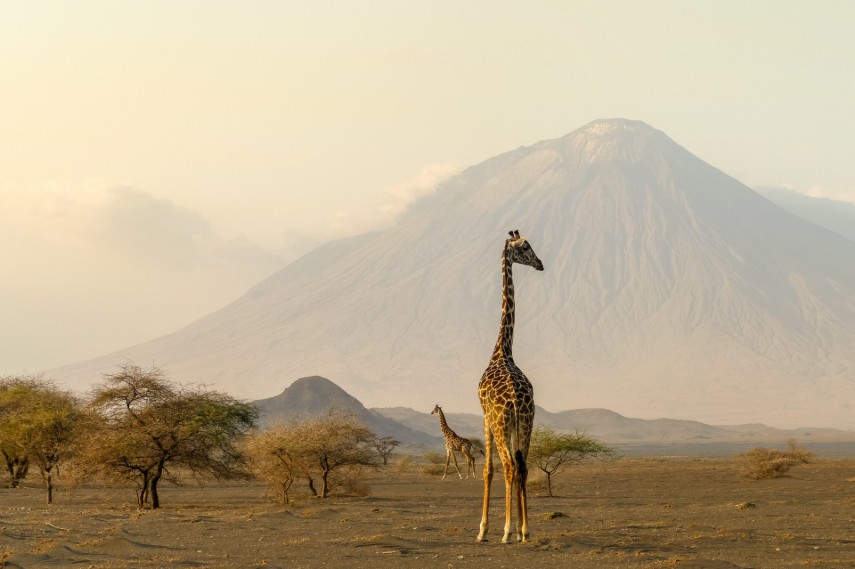 Ngorongoro crater in Tanzania to visit in August